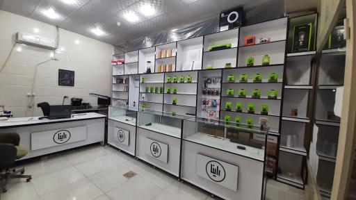 عکس گروه راینا