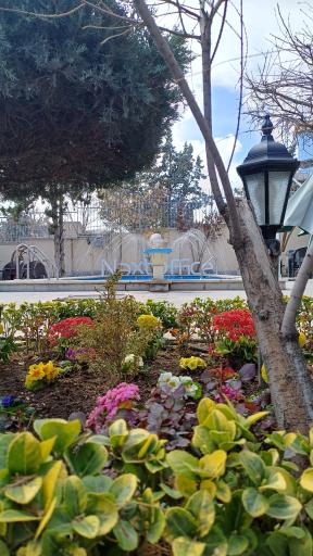 عکس نکست آفیس