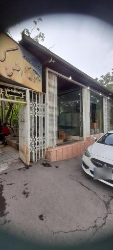 عکس گلابگیری اطلس کعبه