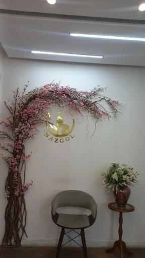 عکس سالن زیبایی نازگل