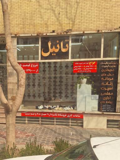 عکس کفش تانیل