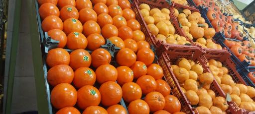 عکس میوه فروشی