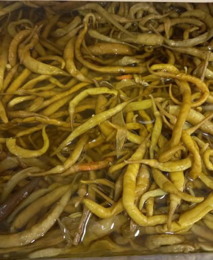 عکس ترشیجات و عرقیات بهار نارنج