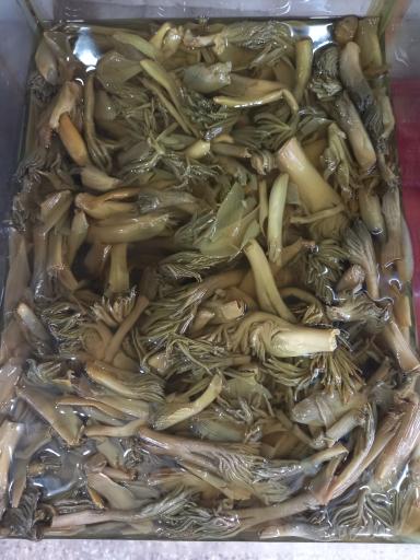 عکس ترشیجات و عرقیات بهار نارنج