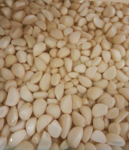 ترشیجات و عرقیات بهار نارنج