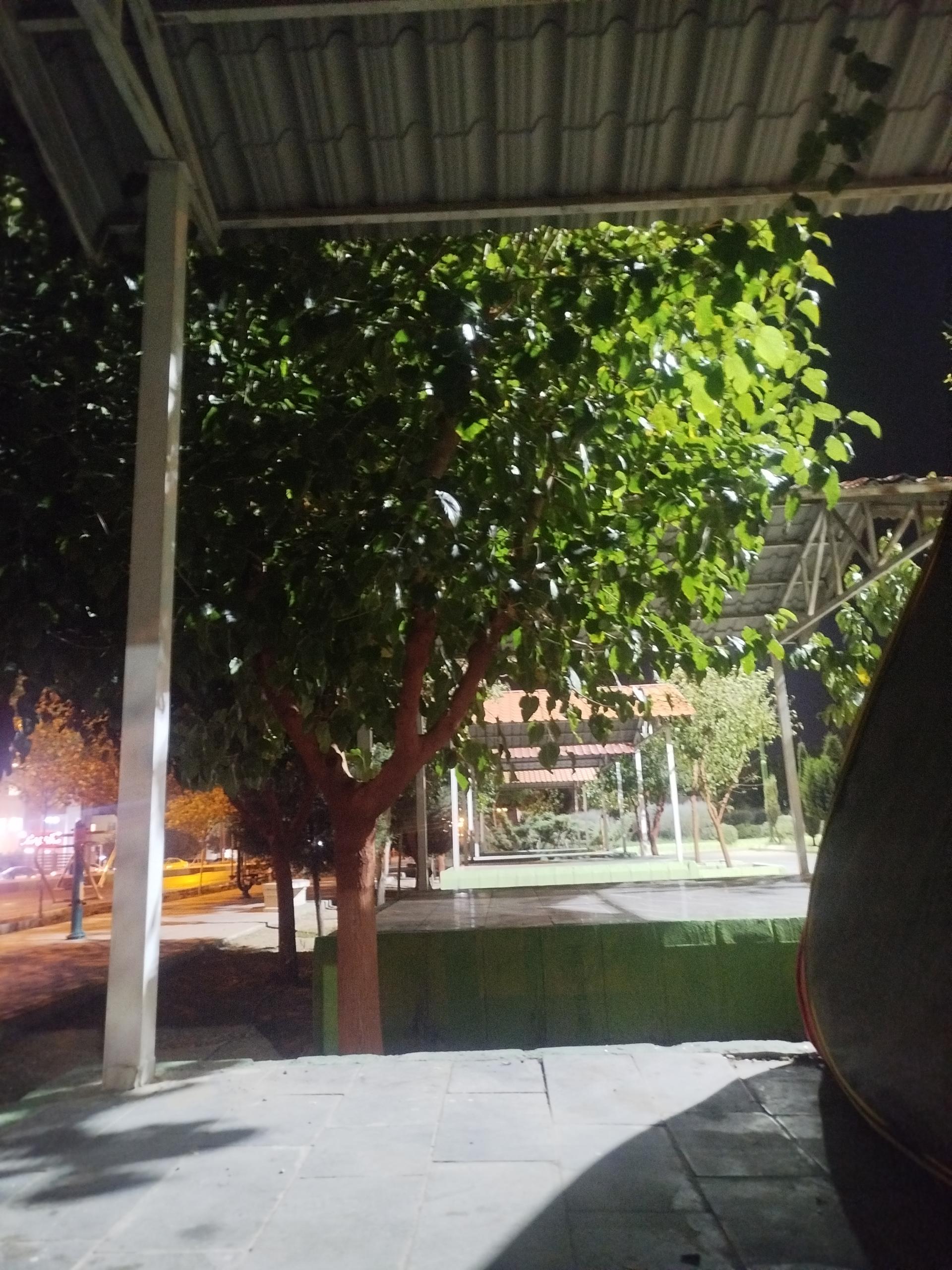 عکس بوستان شفا