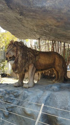 عکس پارک ژوراسیک تهران