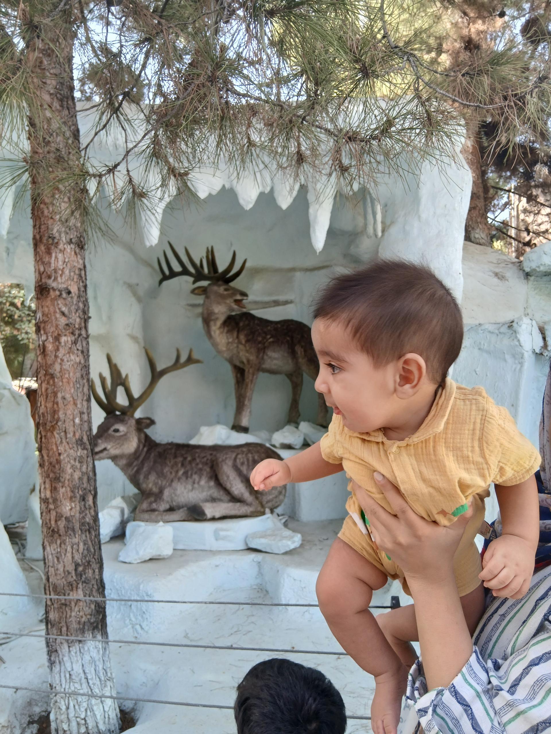 عکس پارک ژوراسیک تهران شعبه پرواز