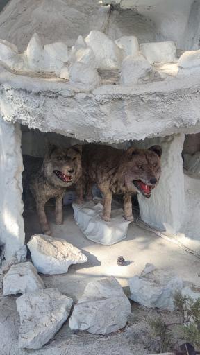 عکس پارک ژوراسیک تهران