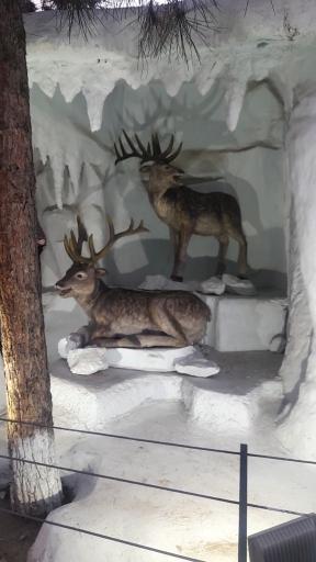 عکس پارک ژوراسیک تهران