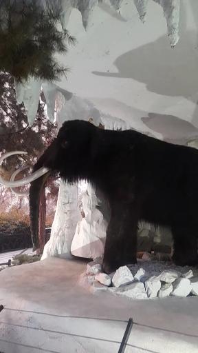 عکس پارک ژوراسیک تهران