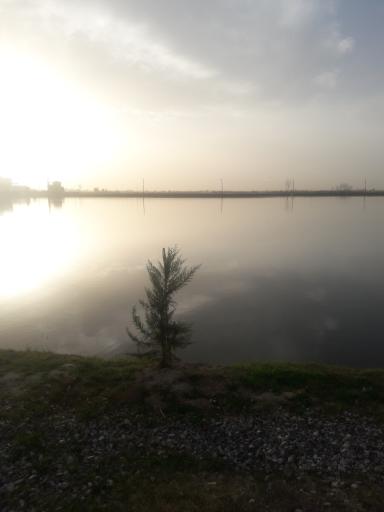 عکس آب بندان روستای موزیگله