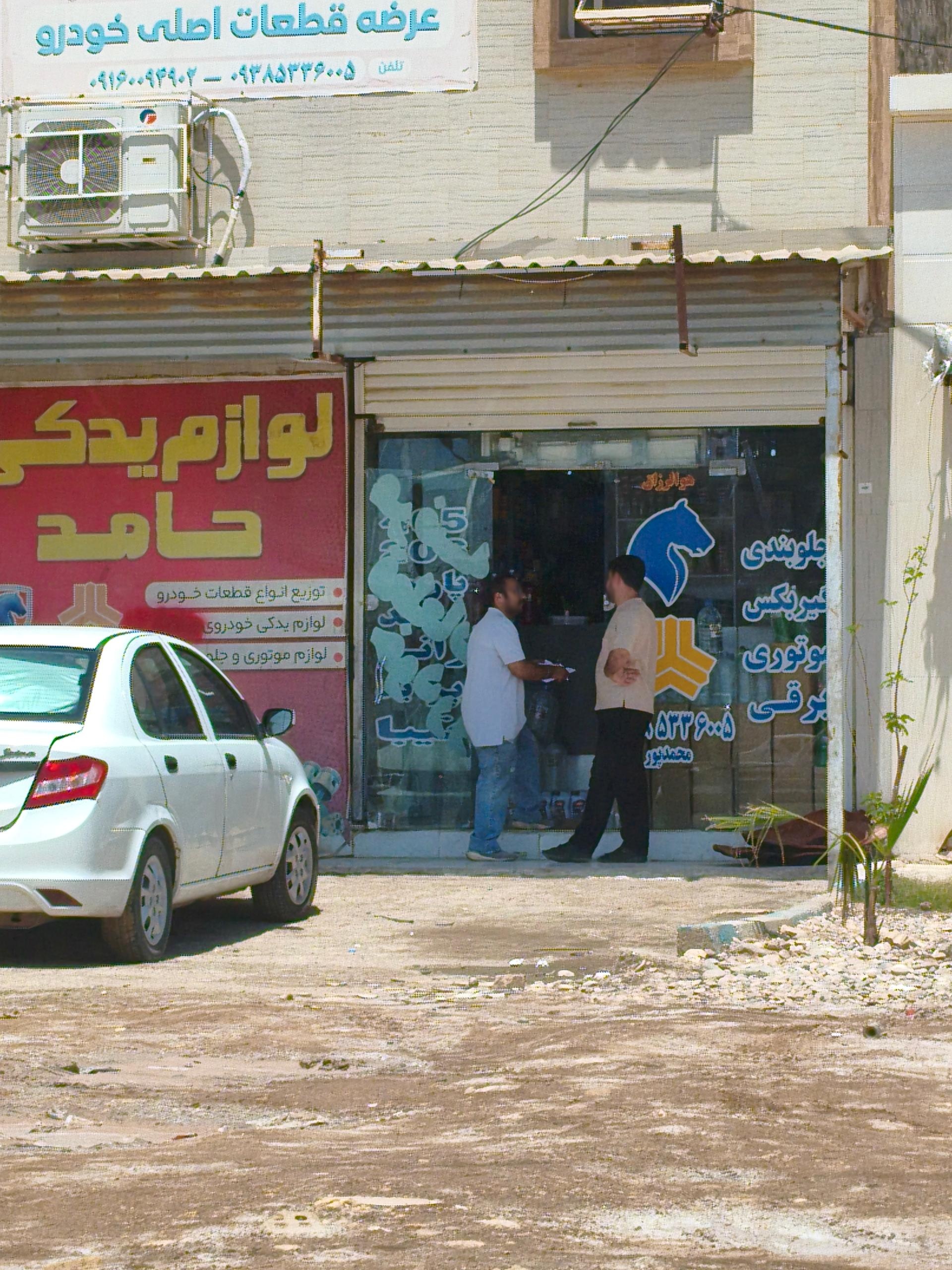 عکس یدکی حامد