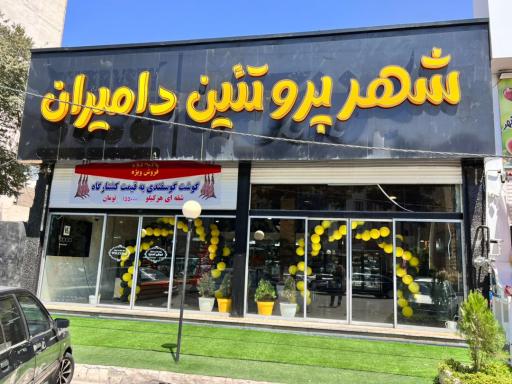 عکس شهر پروتئین دامیران