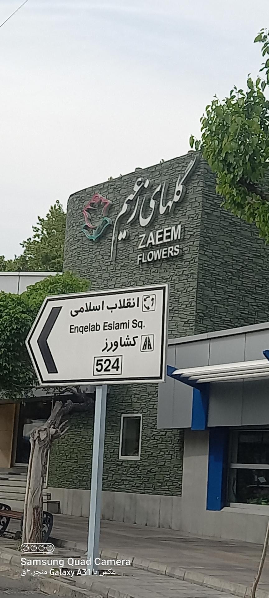 عکس گل های زعیم