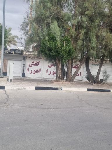 عکس کفش اهورا