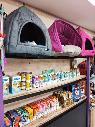 عکس پت شاپ سیمبا