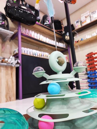 عکس پت شاپ سیمبا