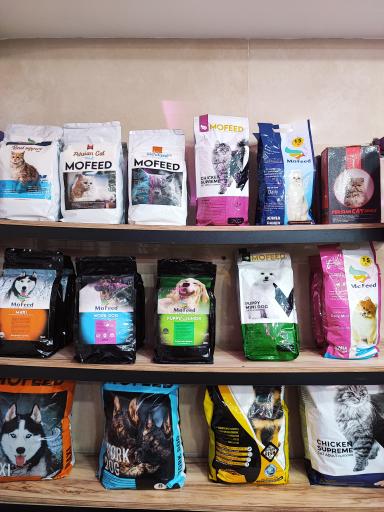 عکس پت شاپ سیمبا