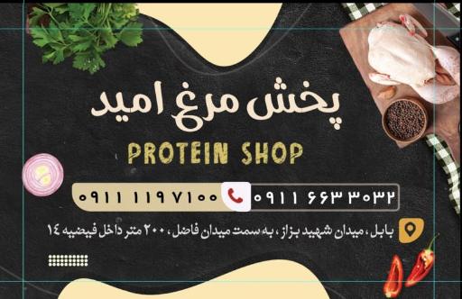 عکس پخش مرغ امید