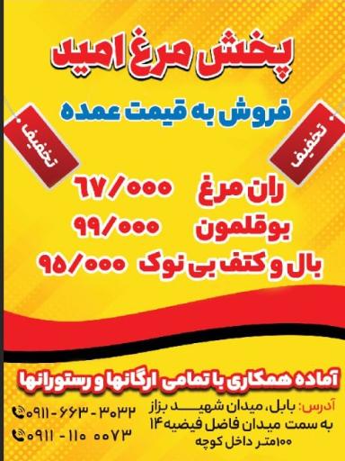 عکس پخش مرغ امید