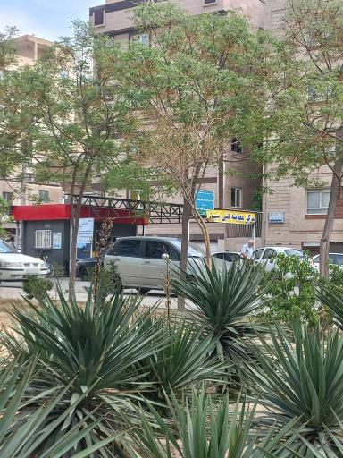 عکس معاینه فنی خودرو های سبک تک سوز (فقط بنزینی)