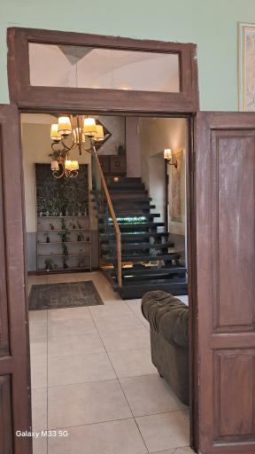 عکس کافه آموره