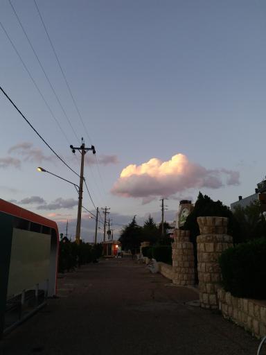 عکس پارک محله ای گلدشت