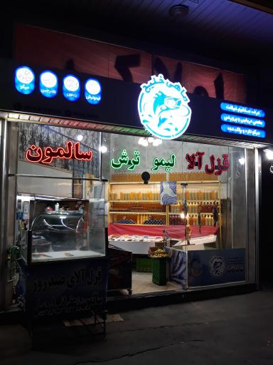 عکس ماهی خلیج