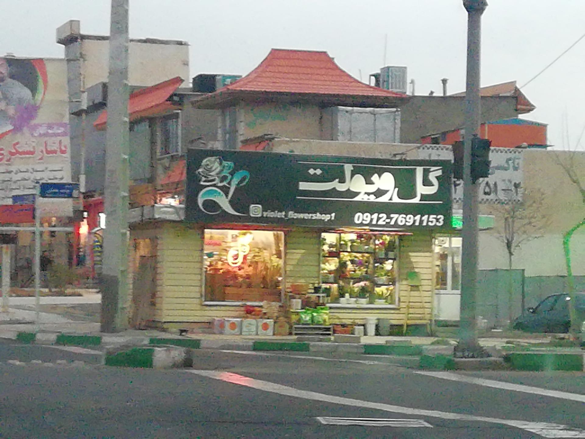 عکس گل ویولت