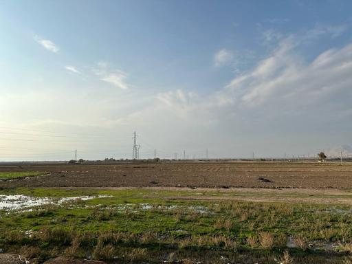 عکس تولید شیر گوشت دام‌دوشان 