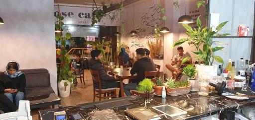 عکس کافه رز