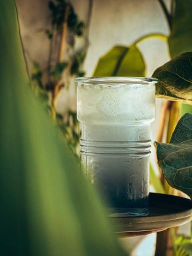 عکس کافه رز