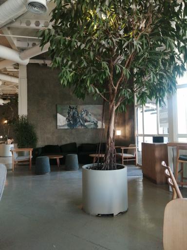 عکس کای کافه