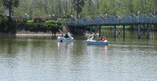 عکس جزیره نارگیل