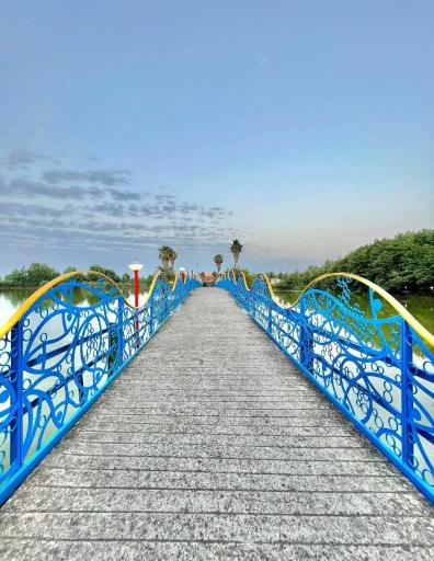 عکس جزیره نارگیل