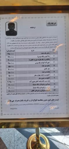 عکس طباخی VIP سفید بره