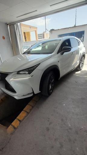 عکس کارشناسی رنگ حاجی زاده