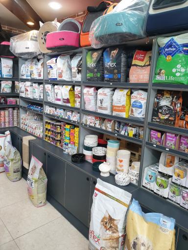 عکس پت شاپ ایت