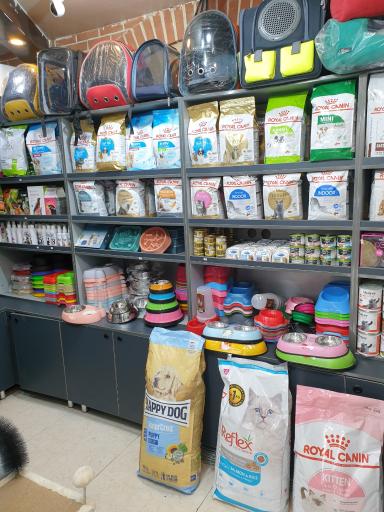 عکس پت شاپ ایت