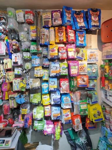 عکس پت شاپ ایت