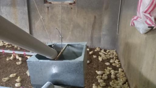 عکس مرغداری ملک زاده