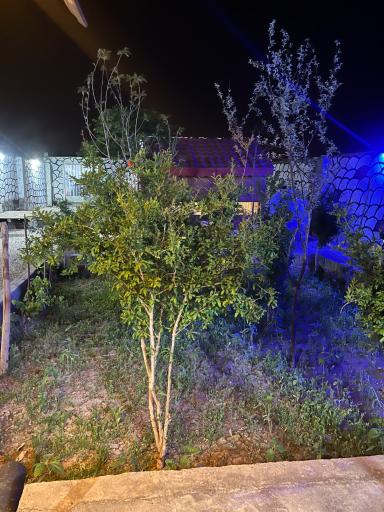 عکس ماهی قزل آلا زنده شهید رسول هاشمیان 