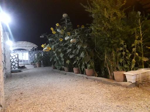 عکس ماهی قزل آلا زنده شهید رسول هاشمیان 