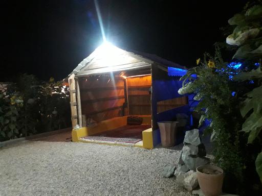 عکس ماهی قزل آلا زنده شهید رسول هاشمیان 