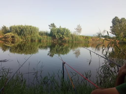 عکس سد لاستیکی گالش کلام