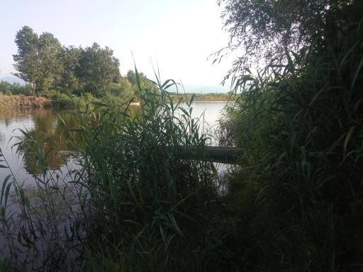 عکس سد لاستیکی گالش کلام