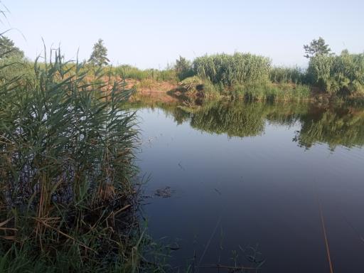 عکس سد لاستیکی گالش کلام