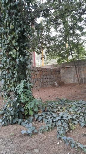 عکس دهکده مقاومت حمزه سیدالشهداء(ع)