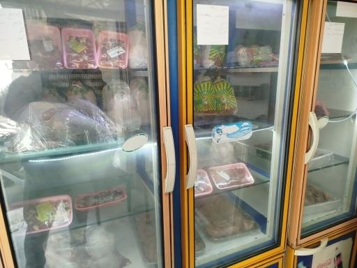 عکس مرغ و ماهی پر طلایی موسوی 